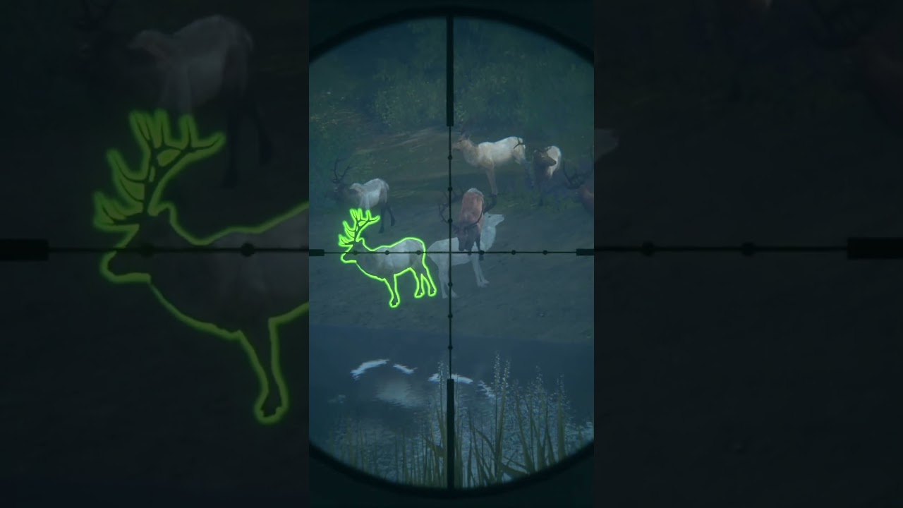 I Almost Lost A SUPER RARE... | The Hunter Call Of The Wild