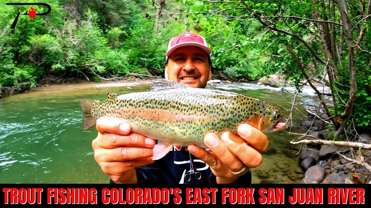 Trout Fishing Colorado's East Fork San Juan River
