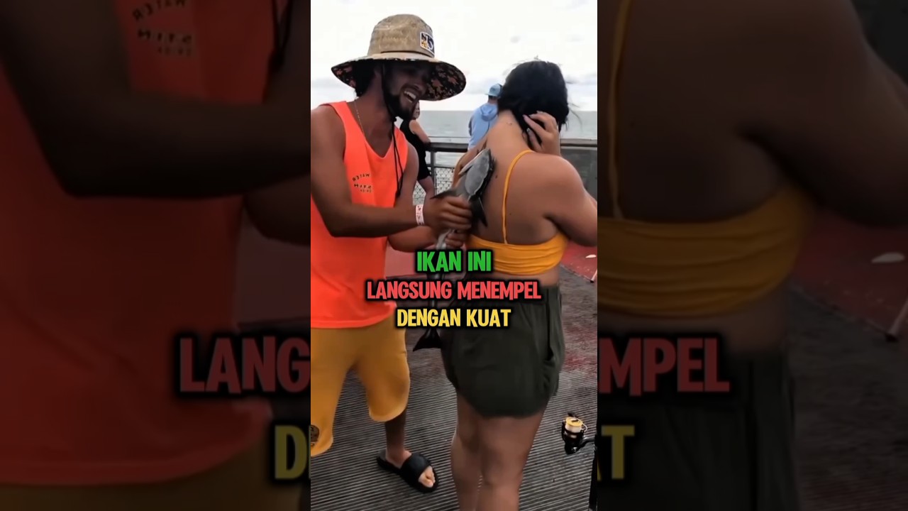 Fakta Unik Ikan Remora Saat Menempel Kuat di Tubuh Manusia 