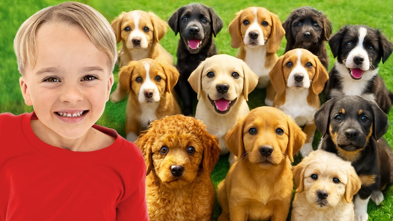 Дети заботятся о животных в приюте