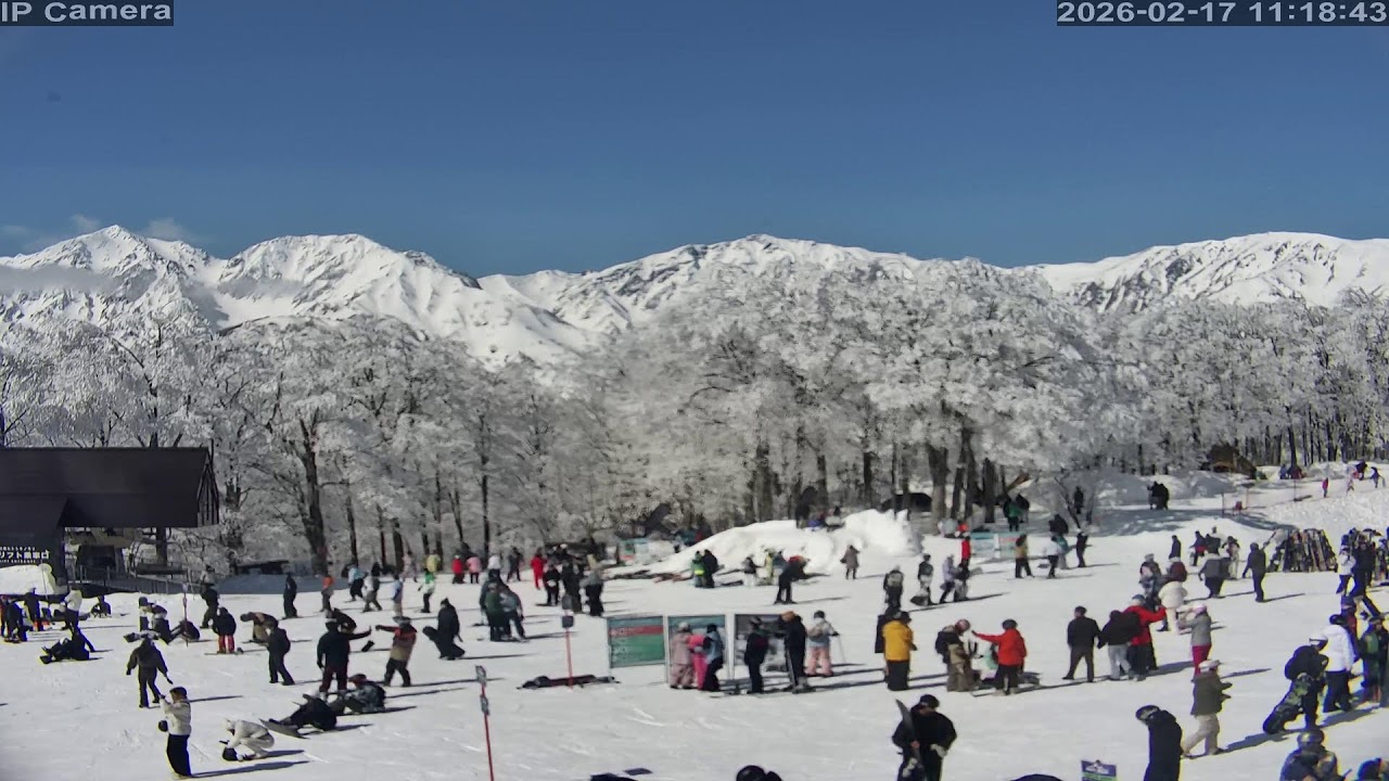 Camera 白馬岩岳マウンテンリゾート - 2026-02-17 10:37