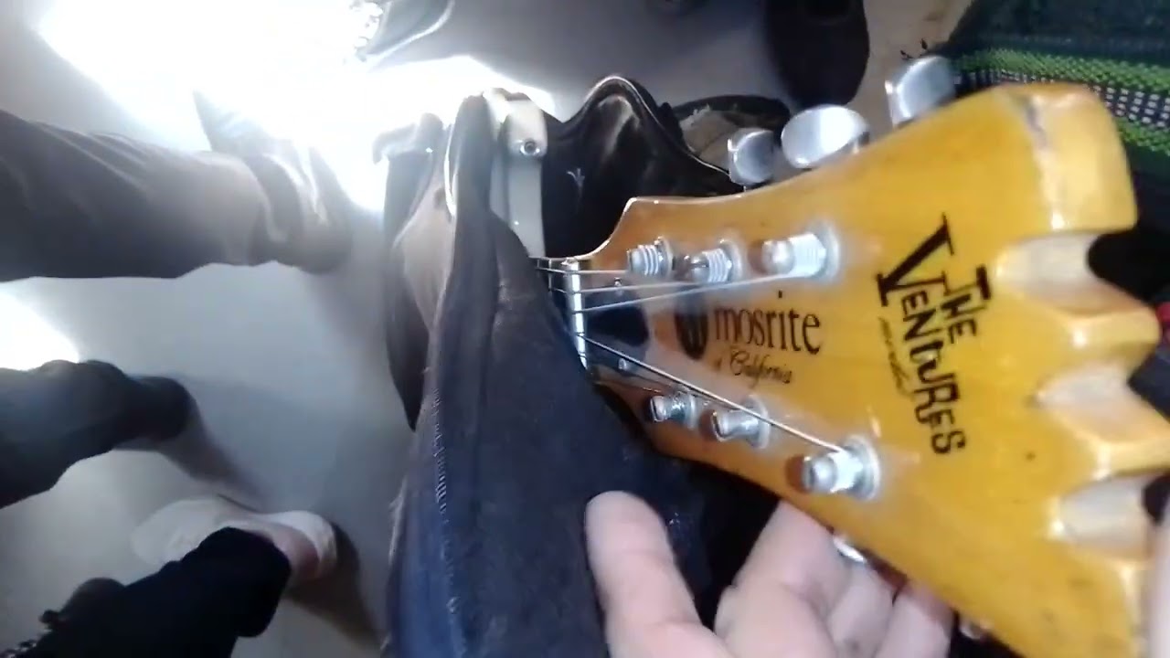 guitarra mosrite teporingos bubónica 