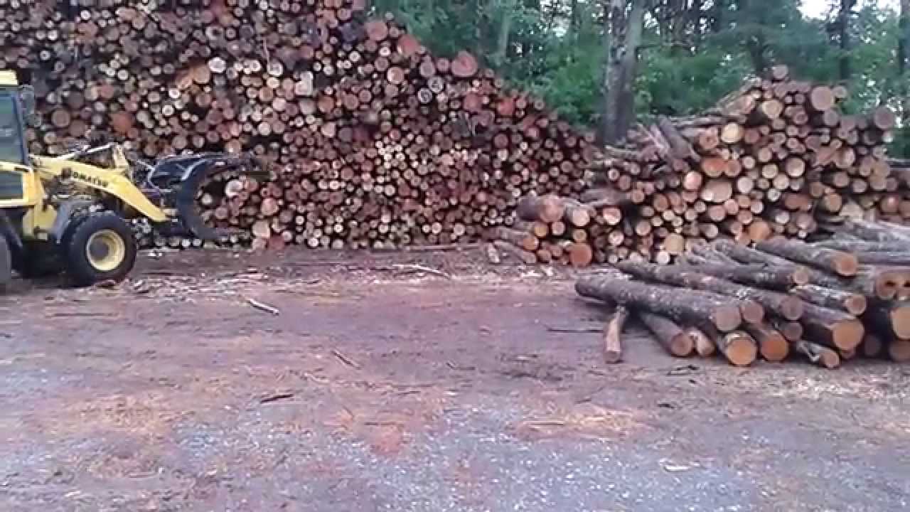 Palgihaarats esilaadurile