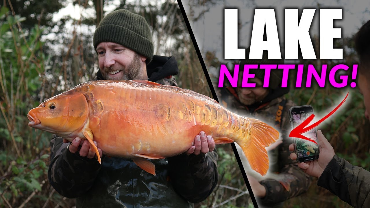 СОБСТВЕННОЕ РЫБОЛОВНОЕ ОЗЕРО МАРКА NETTING!