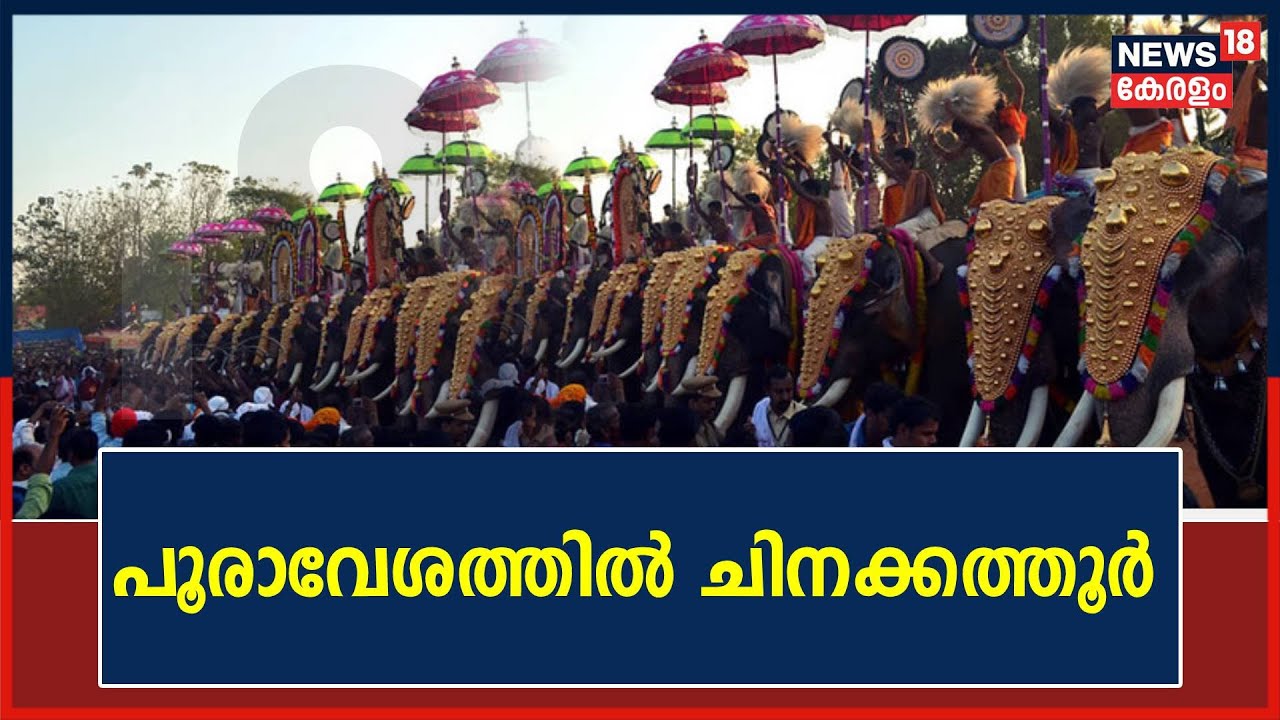 Chinakkathoor Pooram 2023|പൂരാവേശത്തിൽ ചിനക്കത്തൂർ;മട്ടന്നൂരിന്റെ നേതൃത്വത്തിൽ മേളം കൊട്ടിക്കയറുന്നു