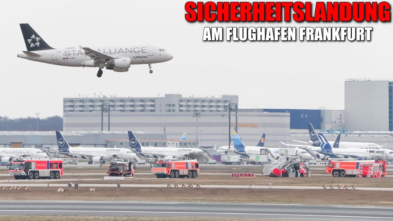 [GROßEINSATZ AM FLUGHAFEN FRANKFURT!] - Sicherheitslandung Lufthansa Airbus A319 (D-AIBH) -