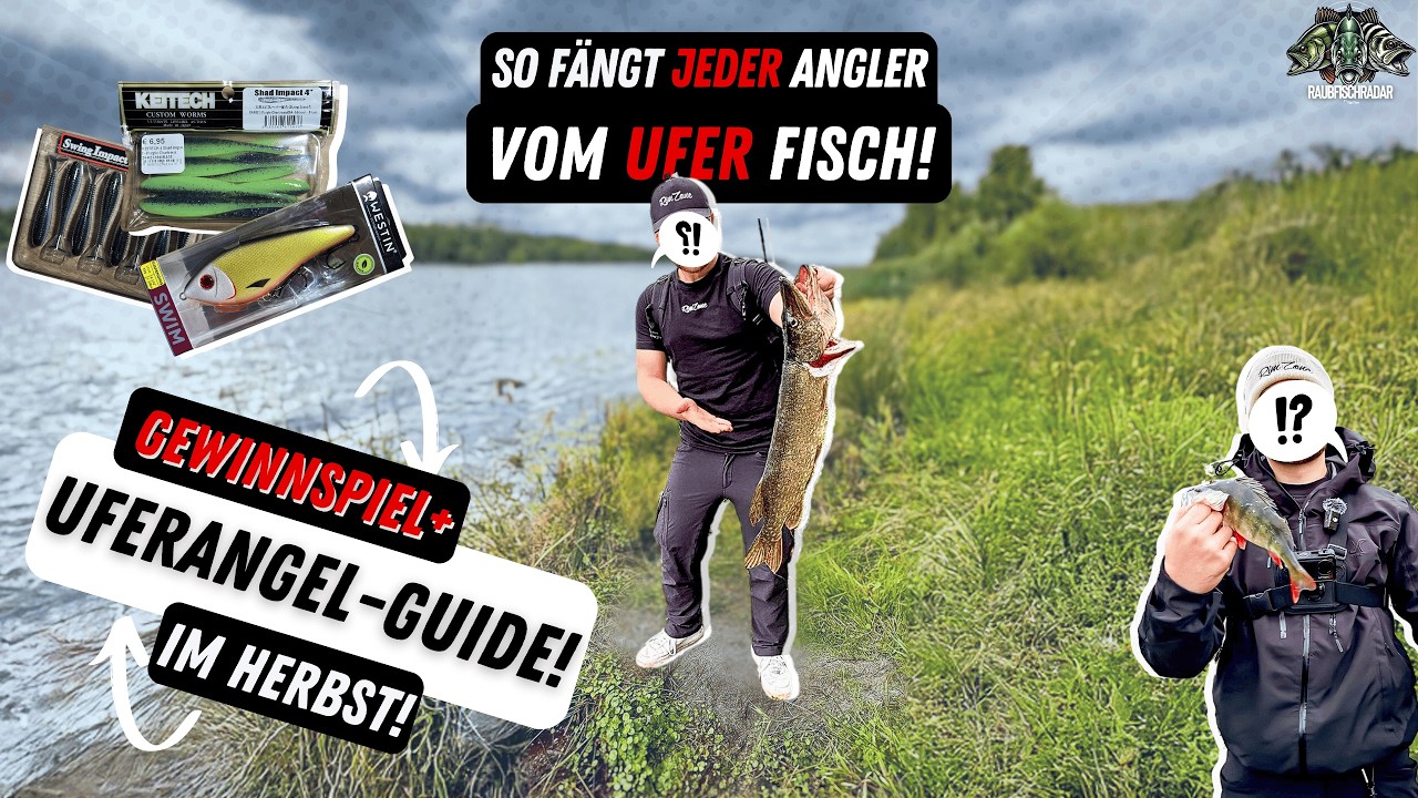 Uferangel-Guide im Herbst 🎣 | Beste Hechtköder Barschköder| Lieblingsköder | Nays | Westin