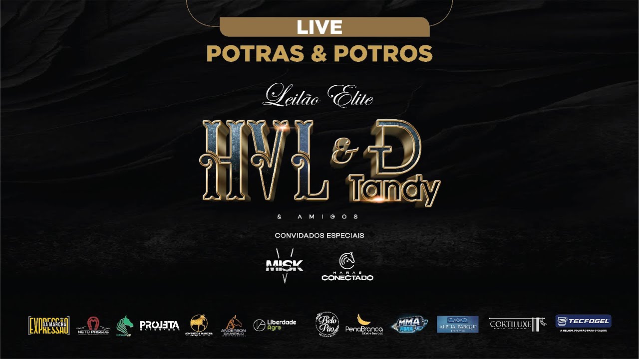 LEIL&Atilde;O ELITE HVL  E  HARAS TANDY - POTRAS E POTROS