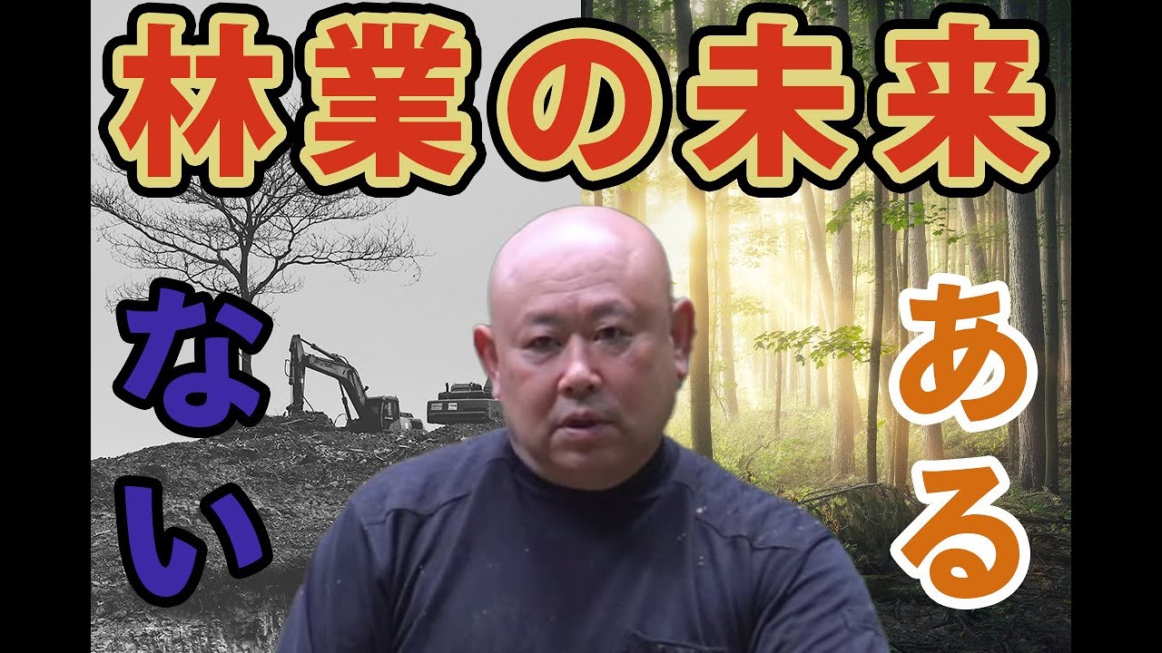 【林業に未来はない!?】森林大国・日本なのに、なぜ後継者がいないのか説明します。
