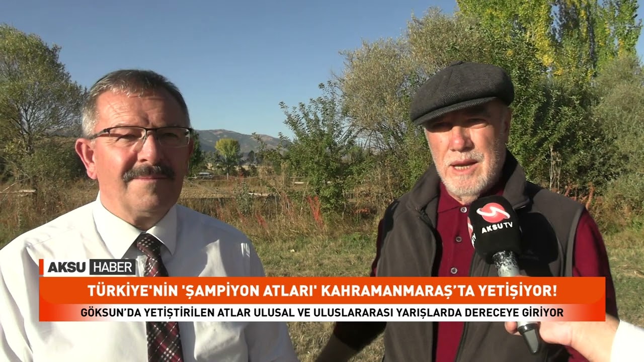 Türkiye'nin 'Şampiyon Atları' Kahramanmaraş’ta Yetişiyor!
