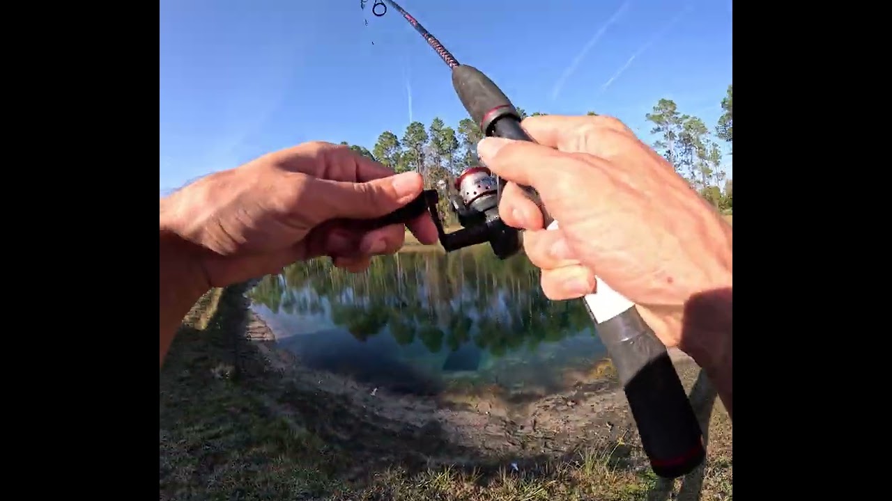 Part 1 Of fishing the pond outback