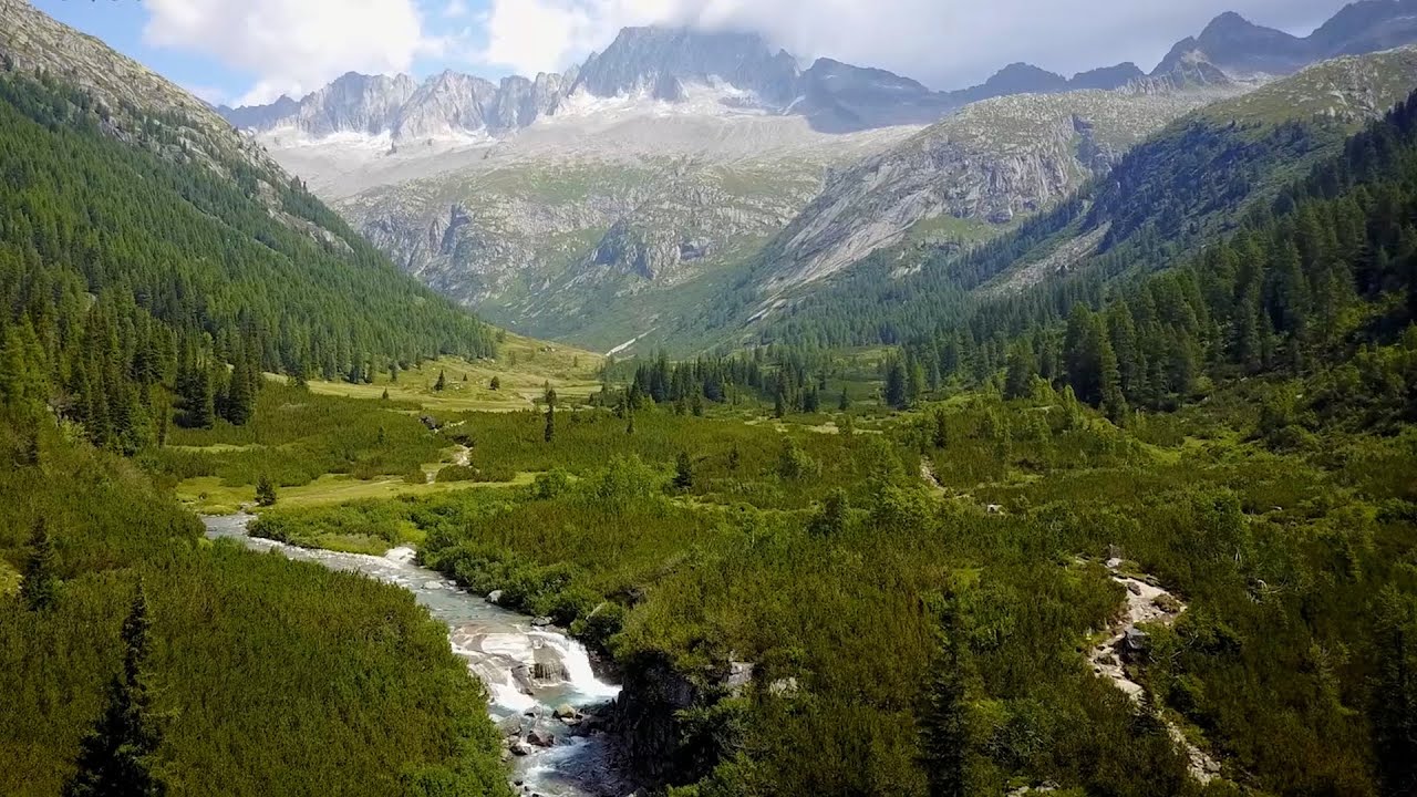 La varietà faunistica del Parco Naturale Adamello Brenta