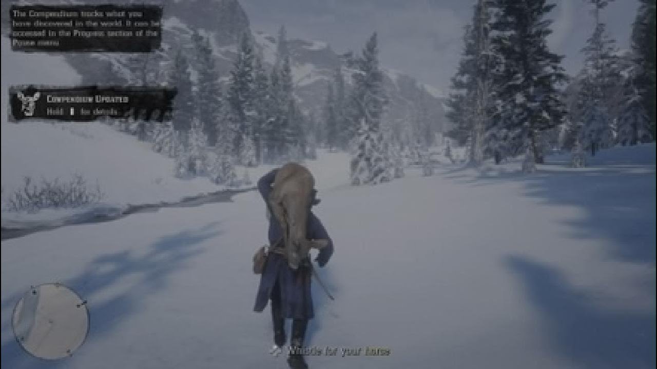 Red Dead Redemption 2_20260113115303