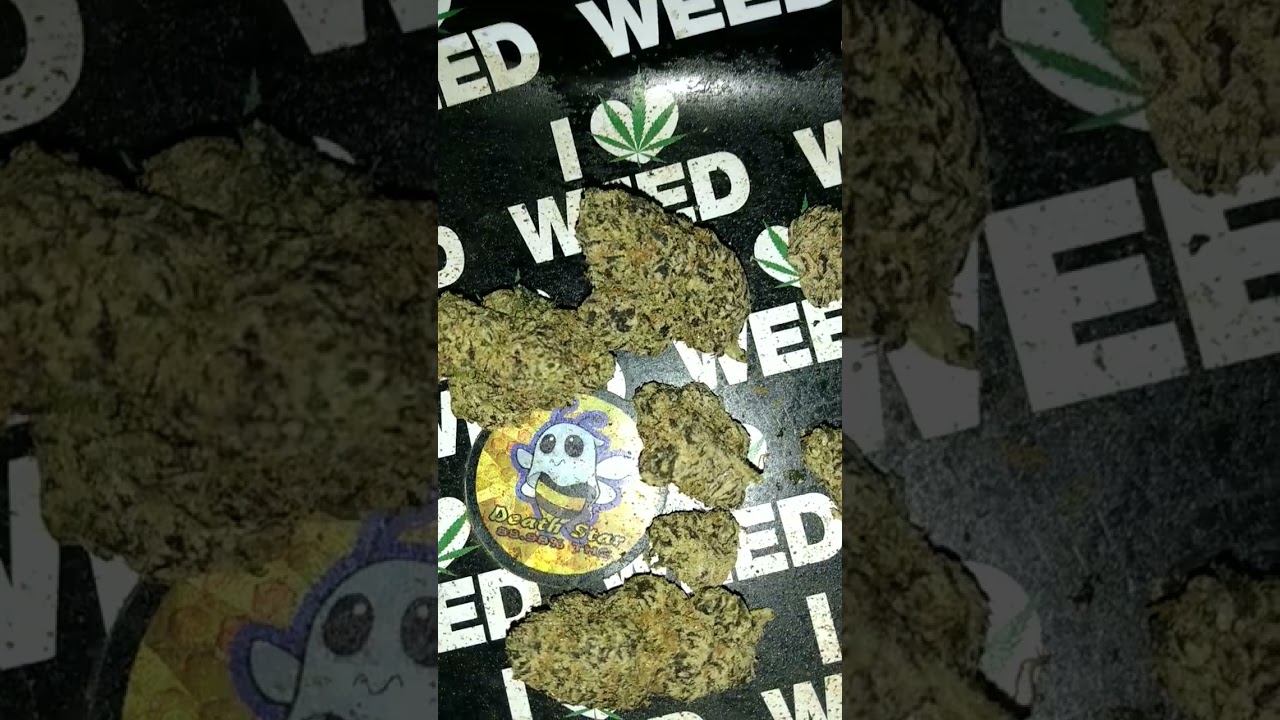 #zaza #exotic #topshelf #superlemoncherry #donmerfos #TX