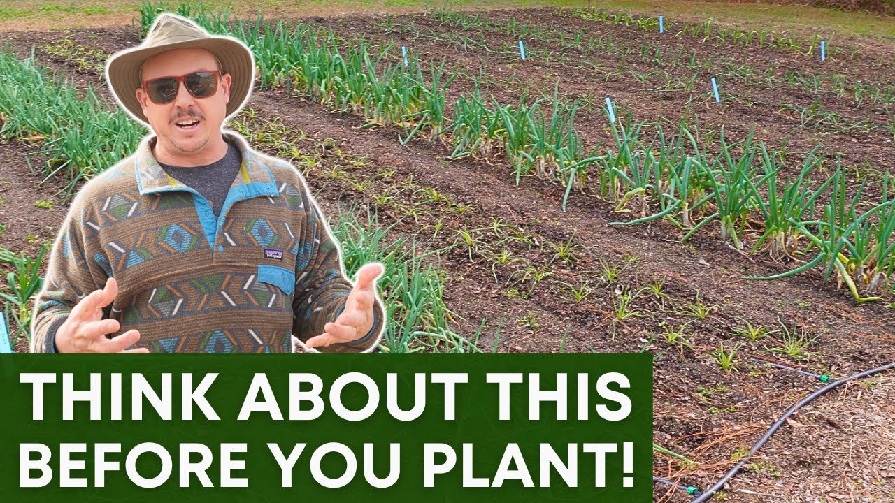 7 Garden Rules We Follow Every Spring