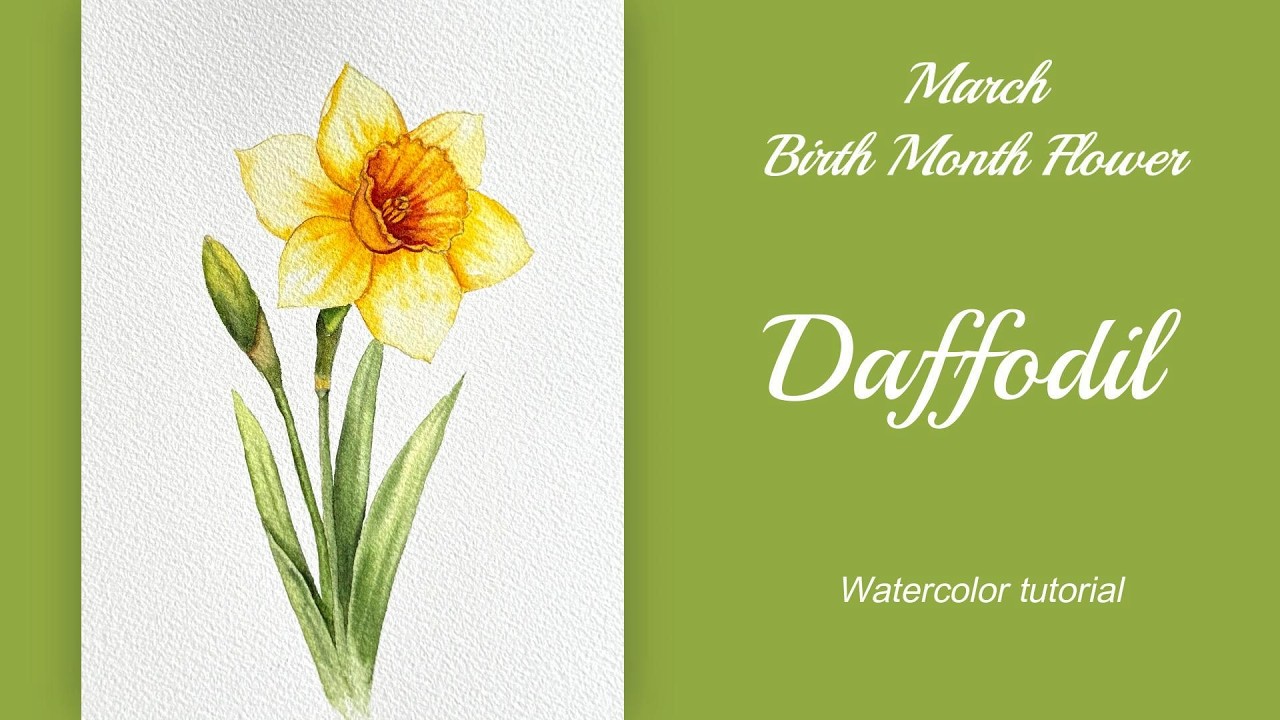 Watercolor Daffodil – February Birth Month Flower Tutorial. #daffodil #birthmonthflower #painting