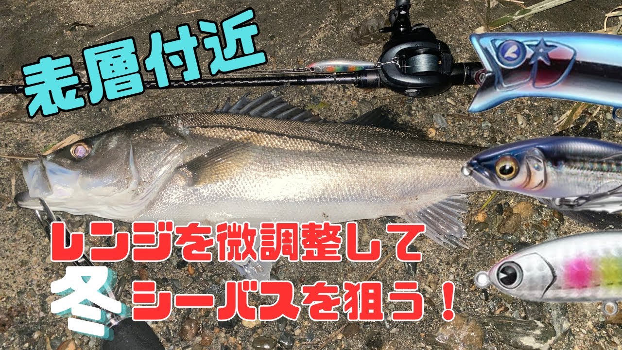 表層付近の攻防！レンジを微調整して冬シーバスを狙う！