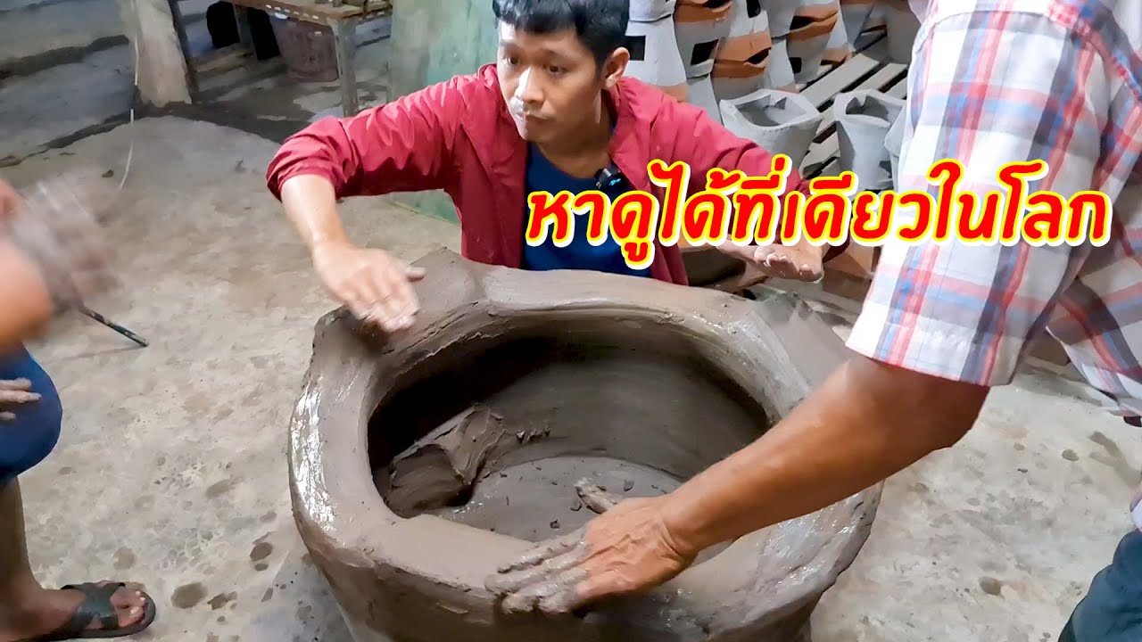 หาดูได้ที่เดียวในโลก ต่อหูเตาอั้งโล่ยักษ์ | เอิร์ธสดชื่น