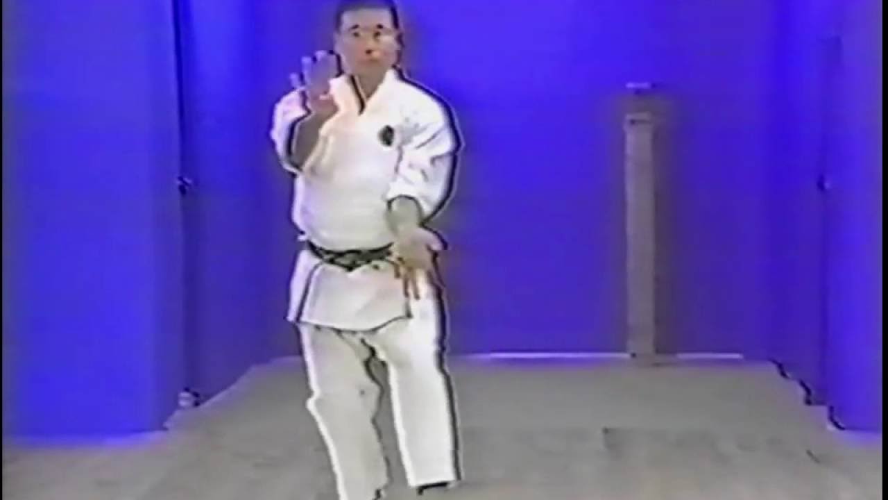 Goju ryu kata. Gekisai dai ni