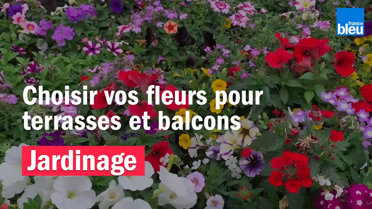 JARDINAGE : comment choisir ses fleurs pour vos terrasses et balcons