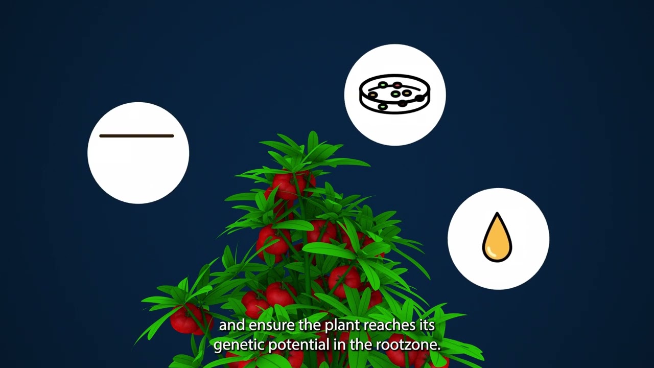 Mills Nutrients C4