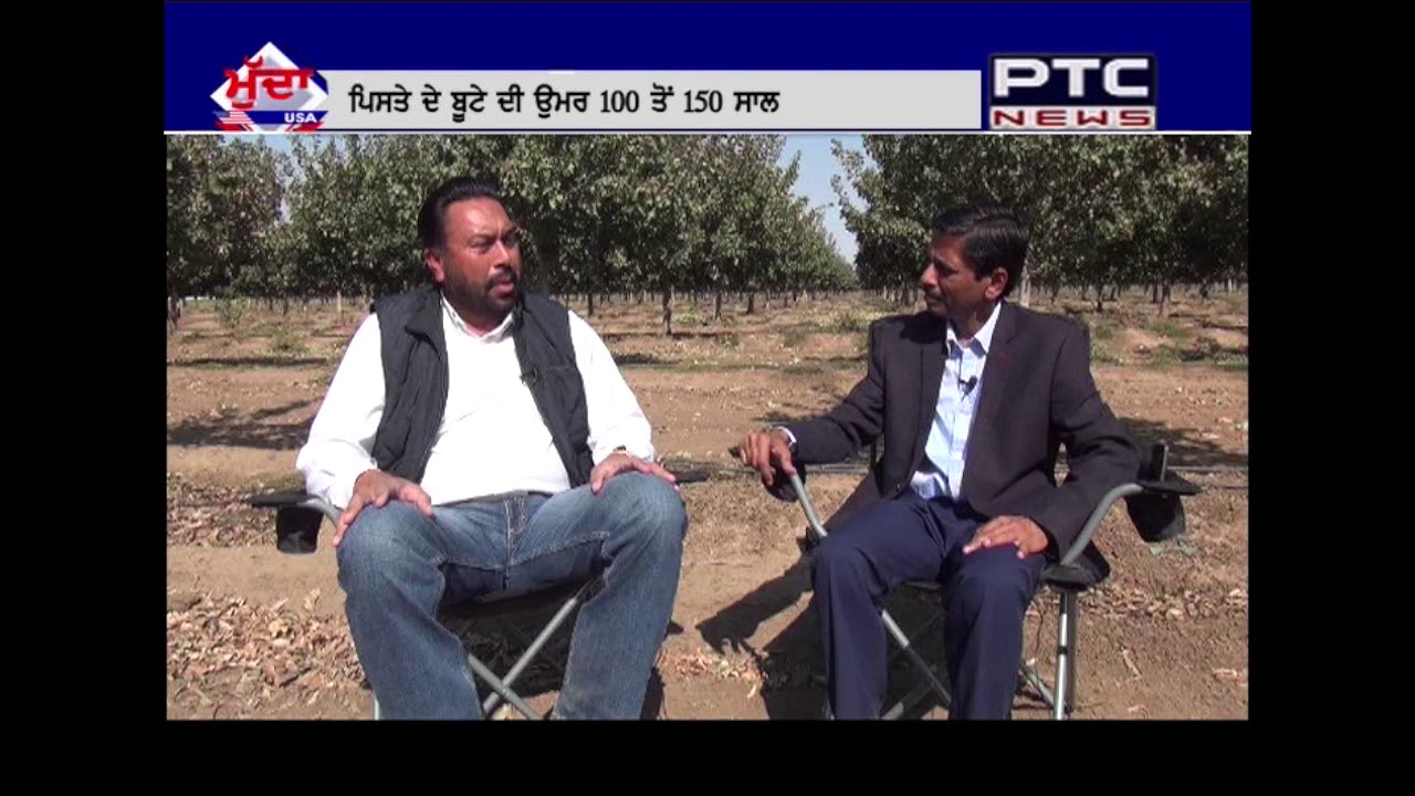Mudda USA | Pistachio Farming