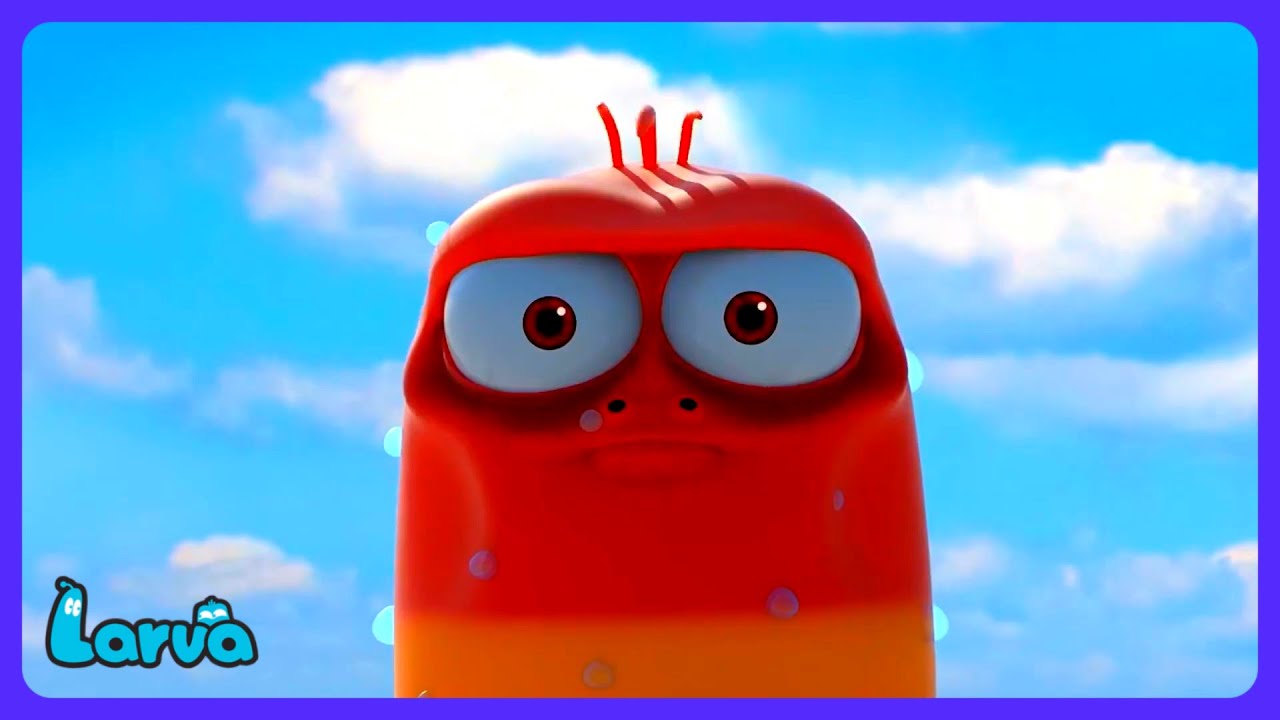 Larva - Weg uit New York! | Kindertelevisie | WildBrain Circus - Nederlands