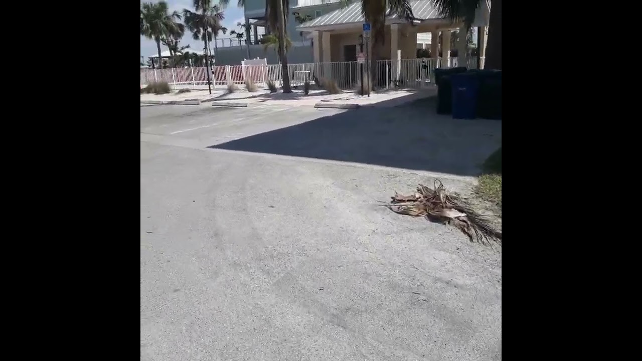 261 Delmar Ave neighborhood and bay view