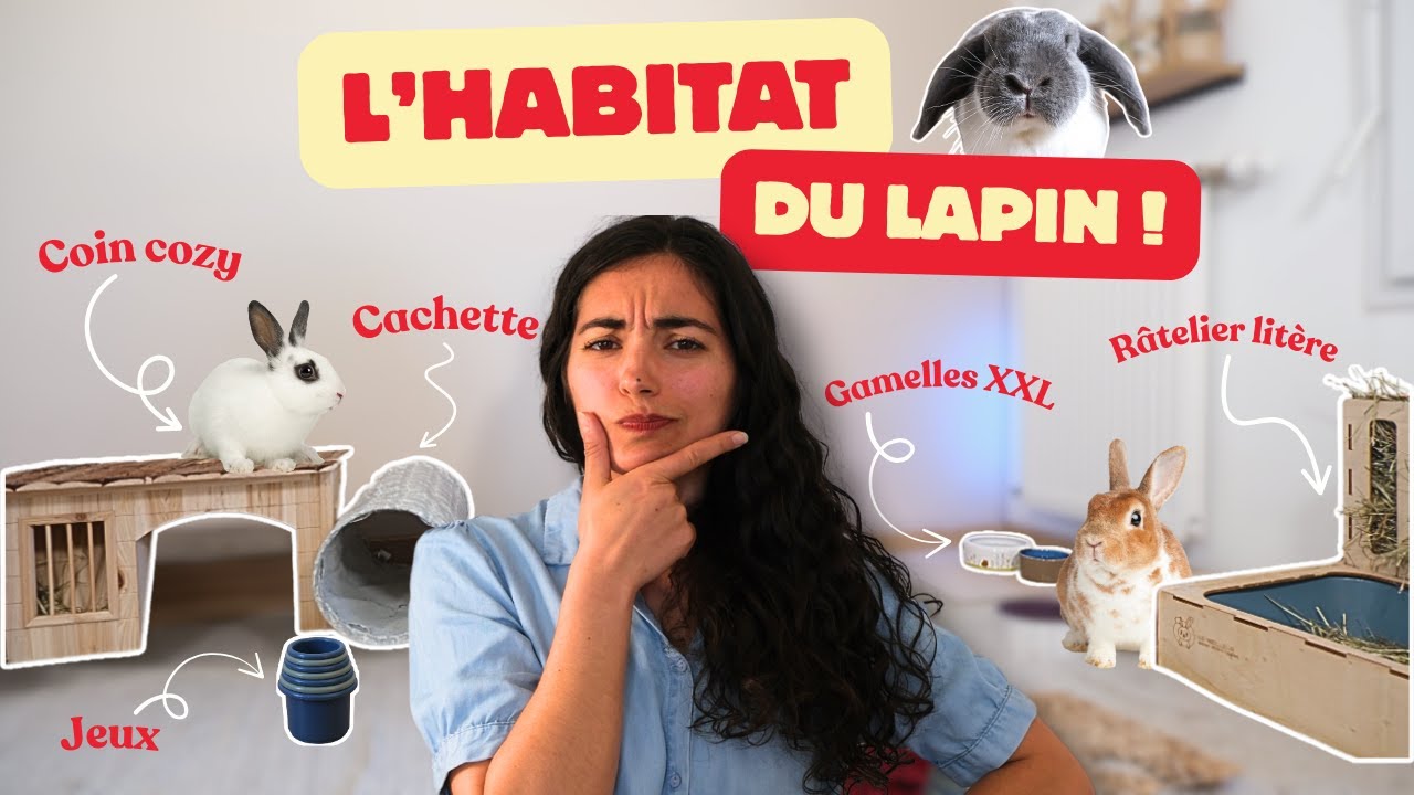 Tout savoir sur L'HABITAT de ton LAPIN 🏠mes conseils et astuces !