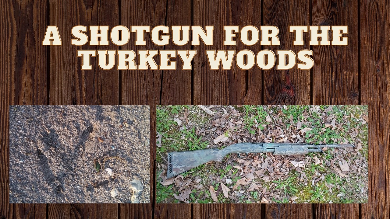 Preparing my Shotgun for Turkey Season