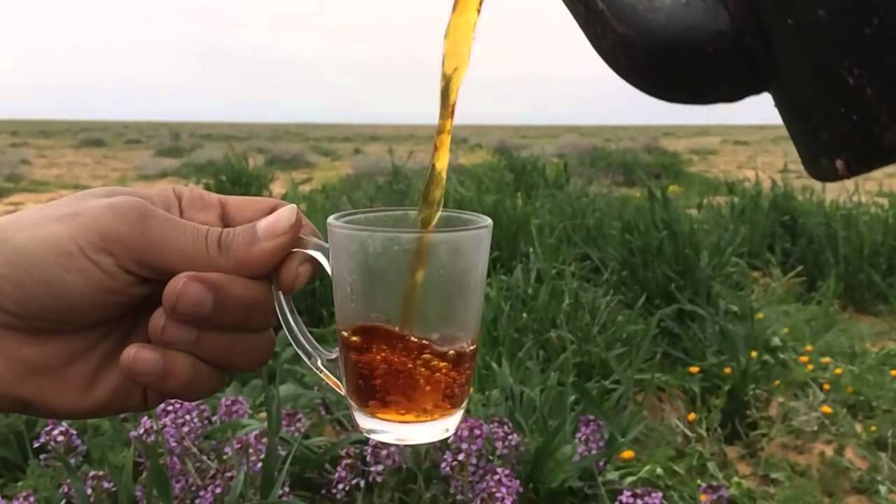 شيلة ياسعود دور البداوه راح من تصميمي