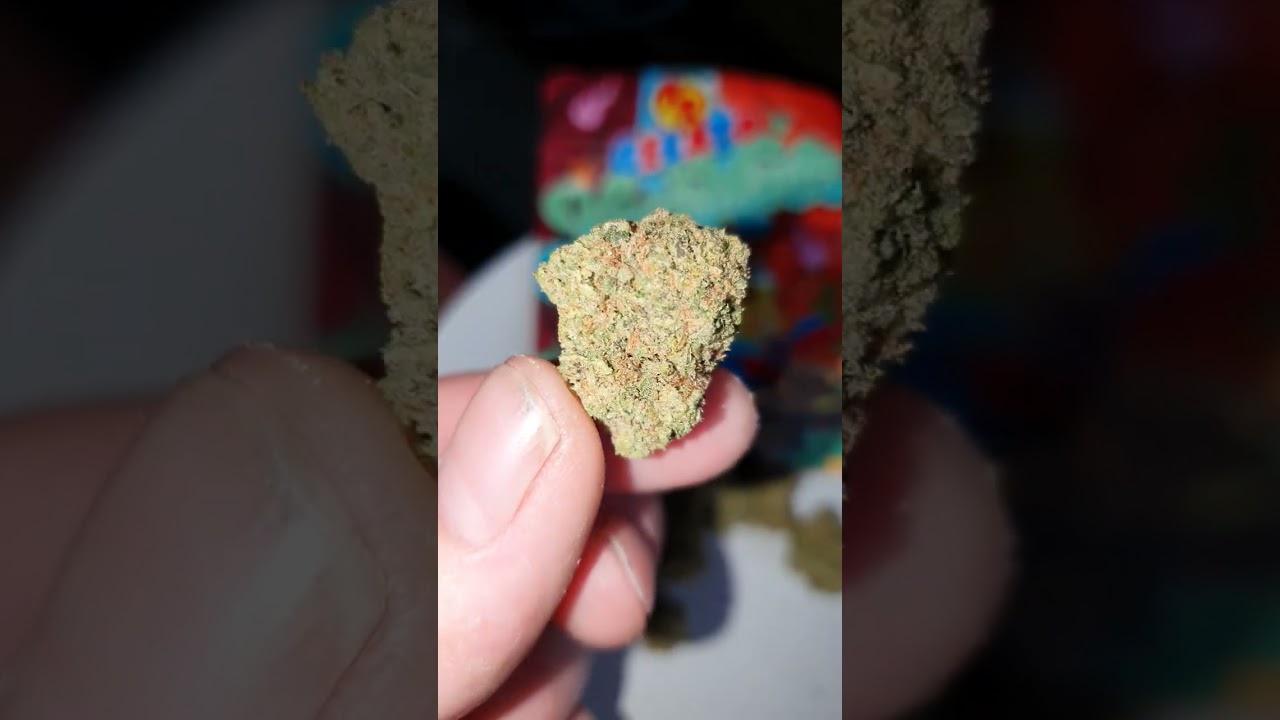 Gelato kush mints 🍃💚✌️