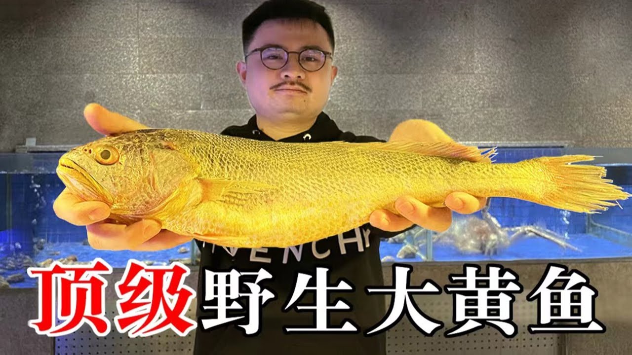 5200元一条的顶级野生大黄鱼，金光闪闪的海鲜珍品 【渣叔爱酒】