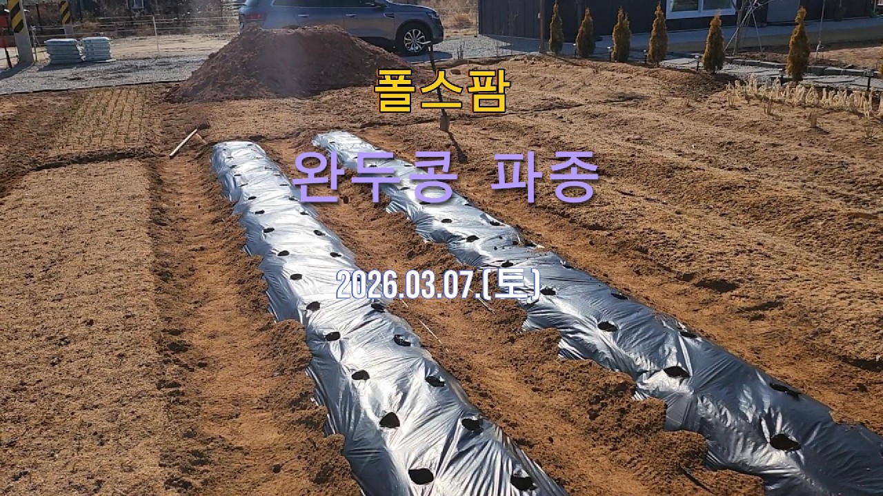 [폴스팜] 완두콩 파종_3월 심는 작물
