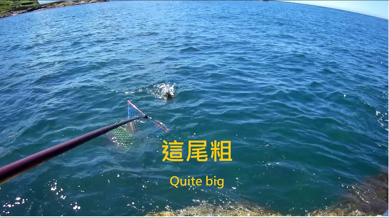 大尾的不少 明隧道礁岩區 Wild fishing in Taiwan.[嘟嘟釣魚狂#137]
