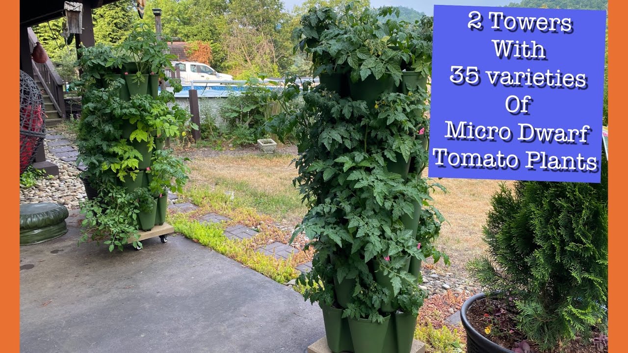 Greenstalk Micro Dwarf Tower Tour/the size and which of the 35 varieties are most productive