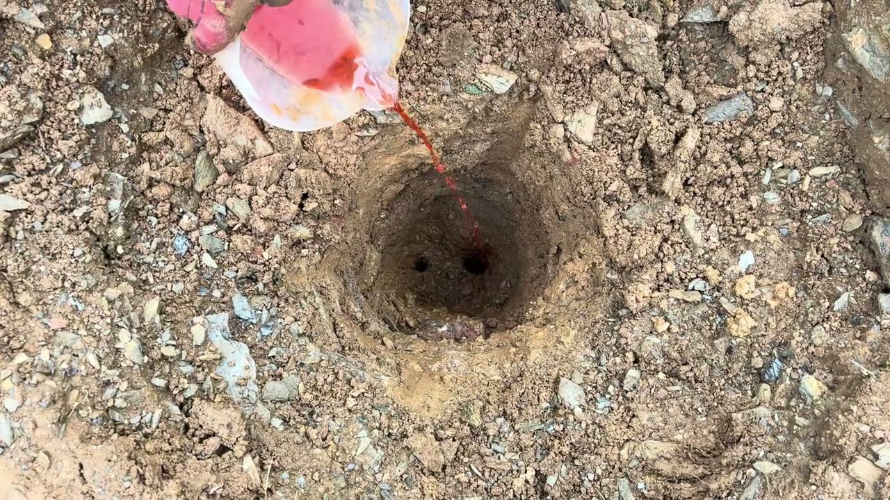 46 Days of Rain !! But Are hole still eats the water! 