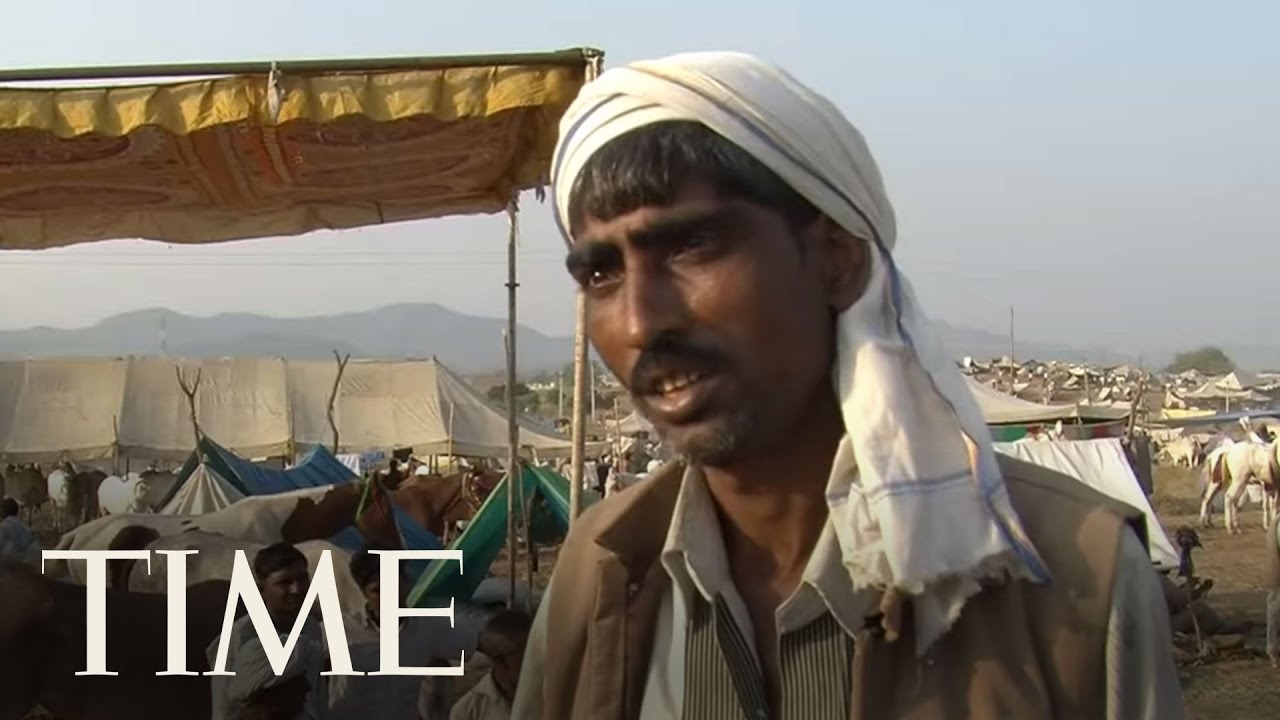 Camels For Cash: India's Fleeting Camel Trade | TIME