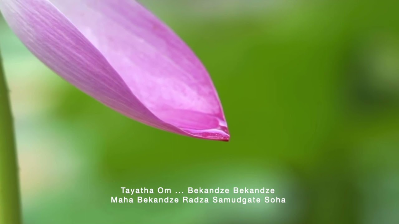 Medicine Buddha Mantra