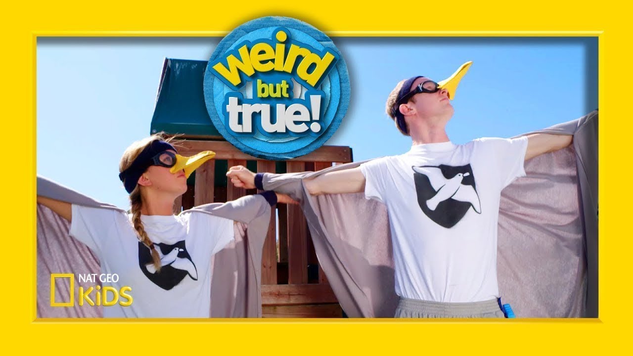Top 10 Best Costumes From 