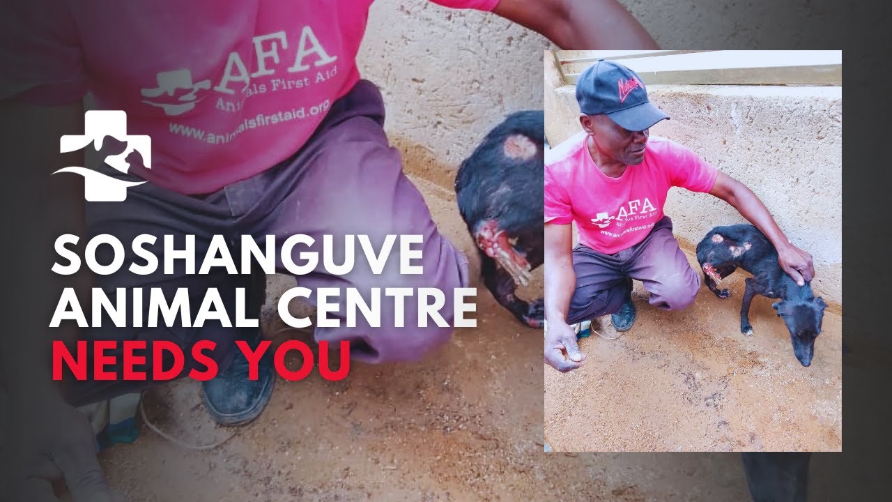 Soshanguve Animal Centre 2026