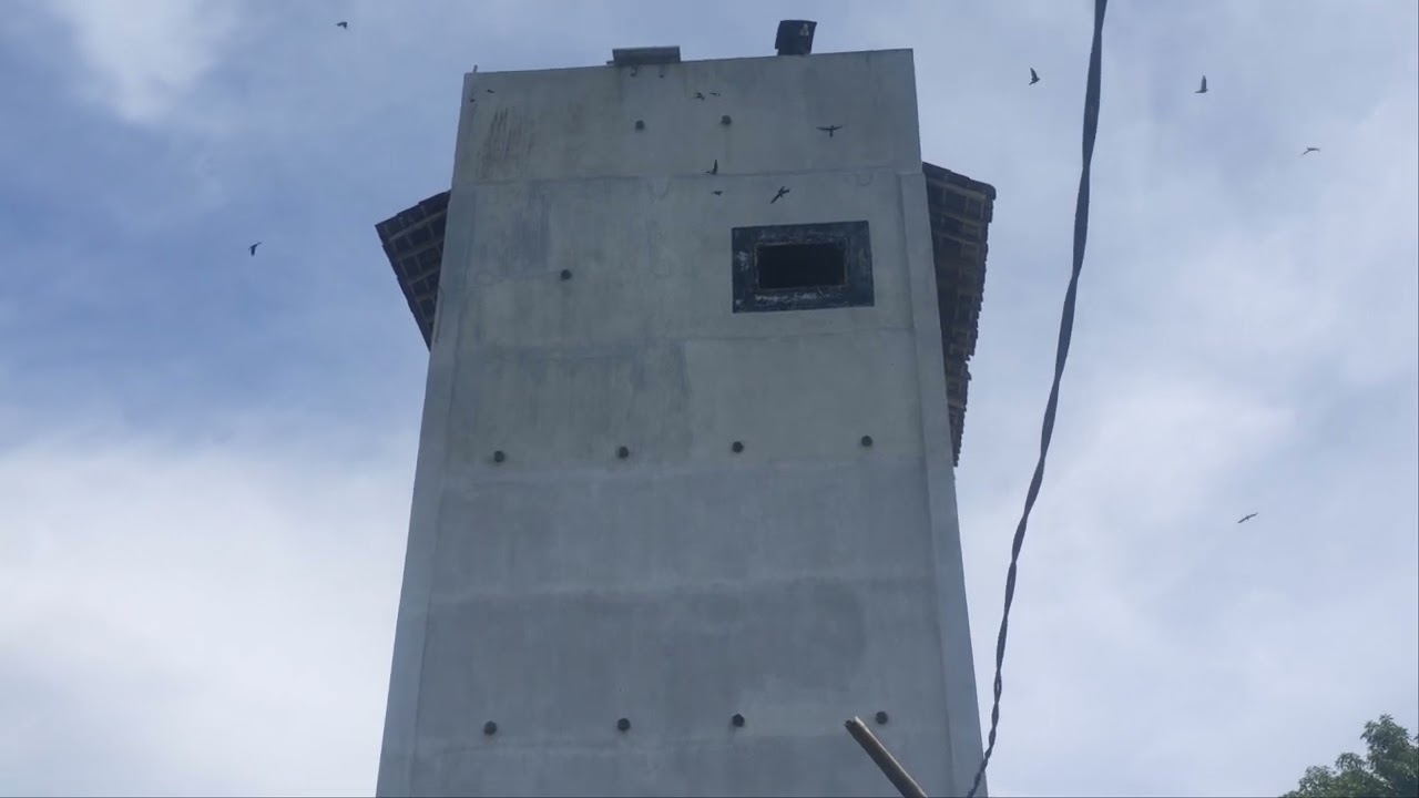 persiapan membangun gedung walet