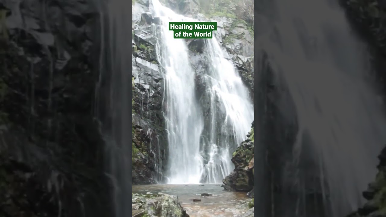 Healing nature l waterfall l natural beauty l Nasheed l Naat