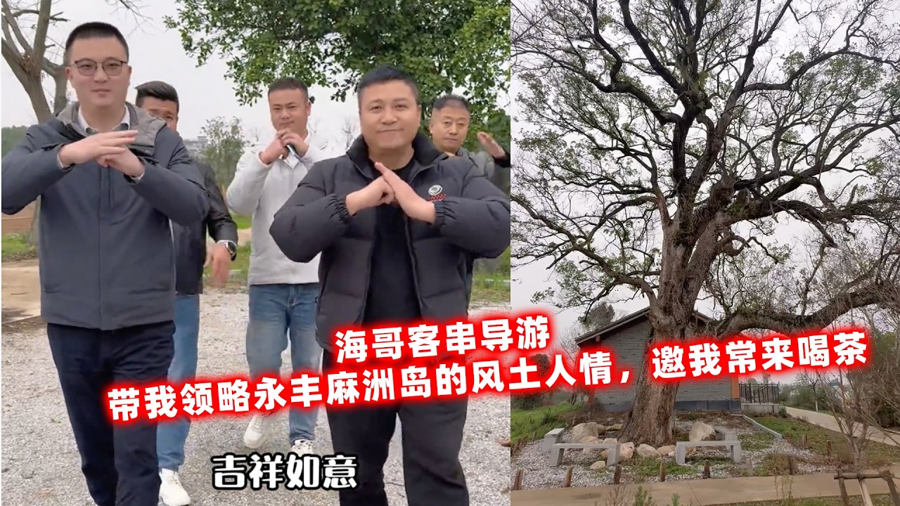 海哥客串导游，带我领略永丰麻洲岛的风土人情，邀我常来喝茶。