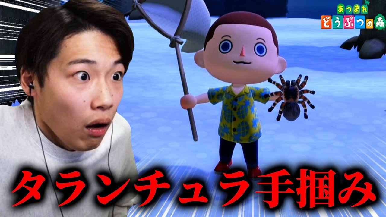 無人島に着いて2日目の根性『あつまれ どうぶつの森』#2