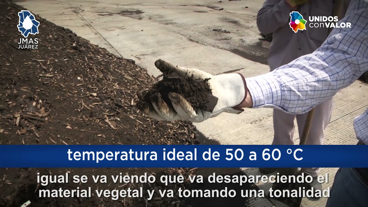 Hace JMAS composta con lodos residuales