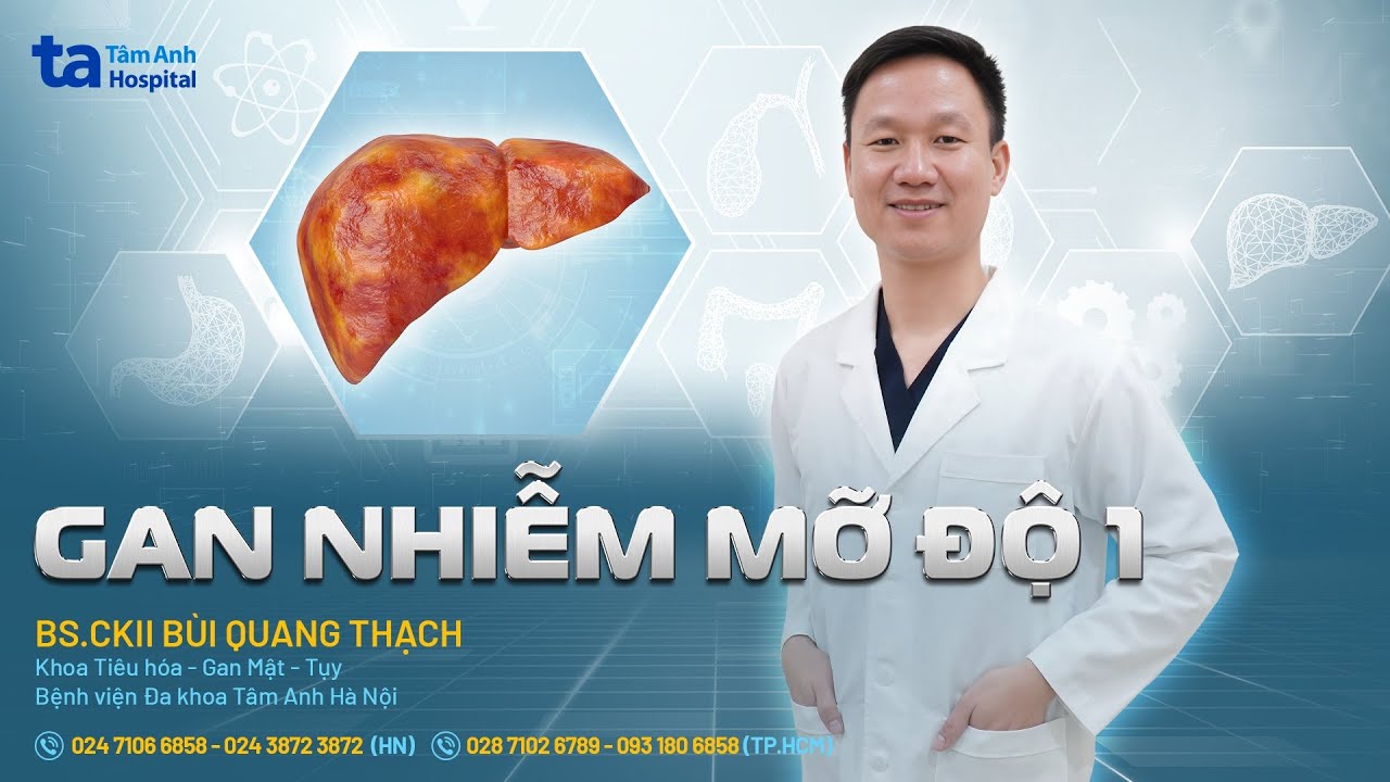 Gan nhiễm mỡ độ 1: Nguyên nhân, triệu chứng và phòng ngừa | BS.CKII Bùi Quang Thạch | THTA