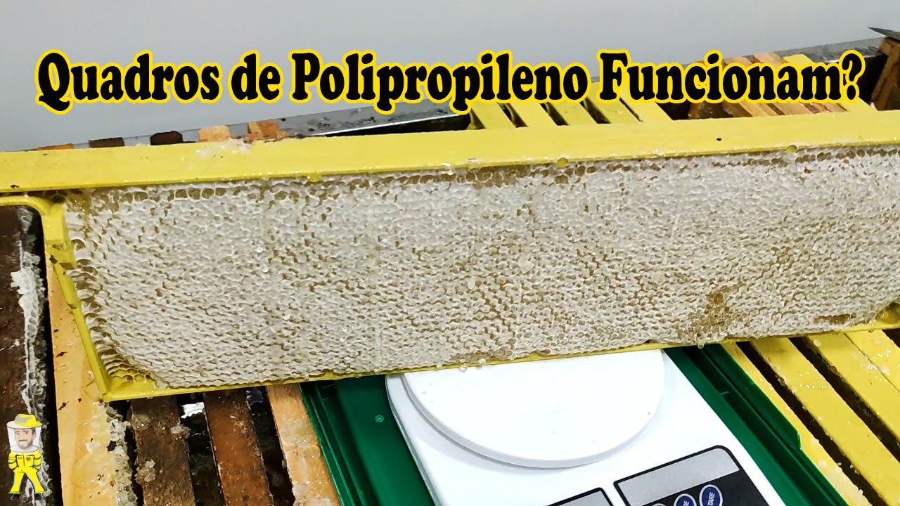 PRODUÇÃO E EXTRAÇÃO DE MEL EM QUADROS DE POLIPROPILENO | CRIANDO ABELHAS!