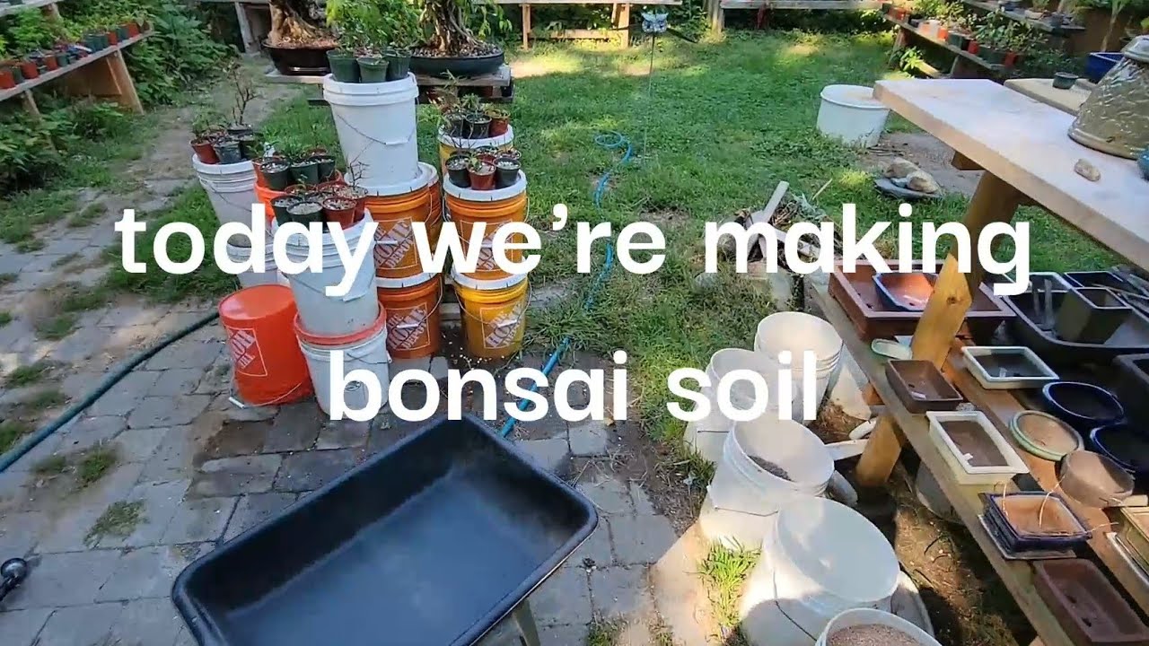 Making The Best Bonsai Soil. My Recipe.