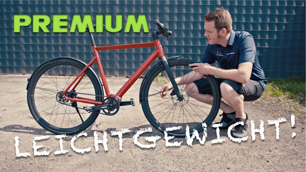 E-Leichtgewicht Desiknio X20 Pinion Gates Light-Ebike